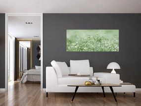 Obraz - Ranná rosa na steblach trávy (120x50 cm)