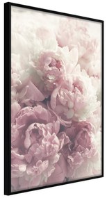 Artgeist Plagát - Delicate Peonies [Poster] Veľkosť: 30x45, Verzia: Čierny rám