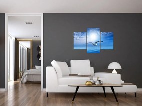Obraz - Čajka nad morom (90x60 cm)