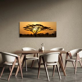 Obraz - Africká savana (120x50 cm)