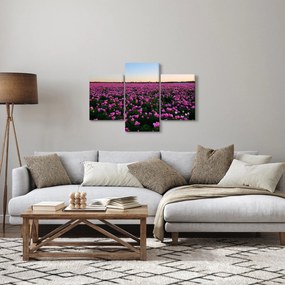 Obraz - Lúka fialových tulipánov (90x60 cm)