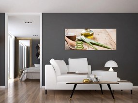 Obraz - Aloe vera (120x50 cm)
