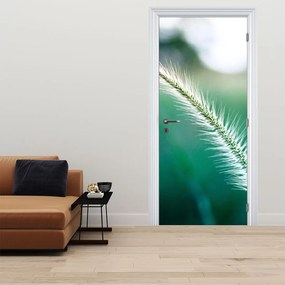 Fototapeta na dvere - Steblo trávy (95x205cm)
