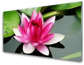 Obraz plexi Kvet rastlina príroda 140x70 cm