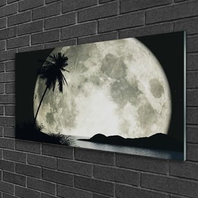 Obraz na skle Noc mesiac palma krajina 120x60 cm