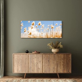 Obraz - Zlaté pole (120x50 cm)