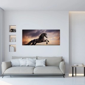Obraz - Kone (120x50 cm)