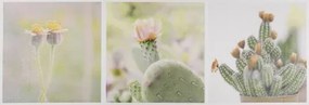 Obraz na plátne Kaktusy koláž, 90x30 cm%