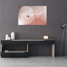 Obraz - Kvapka rosy (90x60 cm)