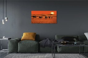 Obraz canvas Ťavy ľudí púštne slnko neba 140x70 cm