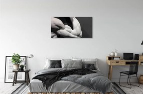 Obraz canvas Sval black and white 100x50 cm