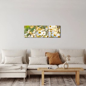 Obraz - Margaréta (s hodinami) (90x30 cm)