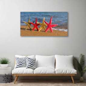 Obraz na plátne Pláž hviezdice umenie 120x60 cm