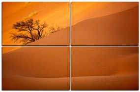 Obraz na plátne - Červené piesočné duny 1133E (120x80 cm)