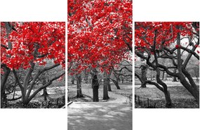 Obraz - Červené stromy, Central Park, New York (90x60 cm)