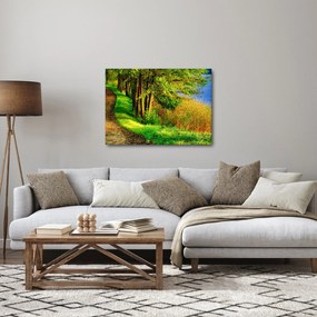Obraz chodníky pozdĺž vody (70x50 cm)
