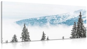 Obraz zasnežené borovicové stromy - 100x50