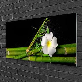 Obraz na skle Bambus kvet rastlina 125x50 cm