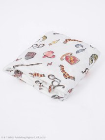 Deka mikroplyš Harry Potter 150 × 200 cm - Chrabromil 1