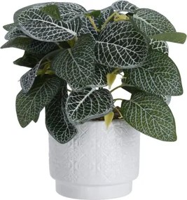 Umelá rastlina v kvetináči 28 cm, bielo-zelené listy%