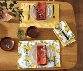 Obojstranné prestieranie, 4 ks