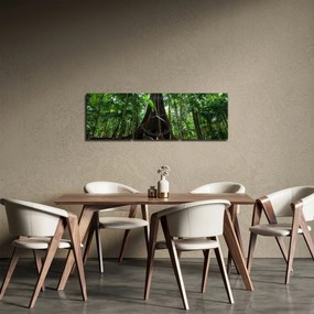 Obraz - Korene stromu (s hodinami) (90x30 cm)