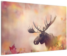 Obraz - Sob v jesennom lístí (90x60 cm)