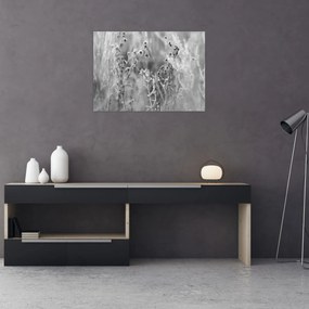 Obraz - Divoká lúka (70x50 cm)