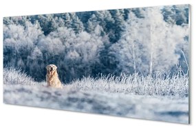 Obraz na akrylátovom skle Zime salašnícky pes 100x50 cm