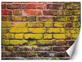 Fototapeta, Stará barevná cihlová zeď - 100x70 cm