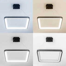 Brilagi - LED stmievateľný luster na lanku FALCON SLIM LED/50W/230V 50x50 cm čierna + diaľkový ovládač