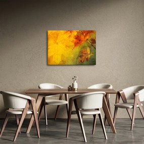 Obraz - Jesenné listy (70x50 cm)