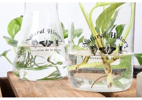 Sklenená váza (výška 12 cm) Natural History – Esschert Design