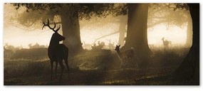 Gario Obraz na plátne Jeleň v hmle Rozmery: 120 x 40 cm