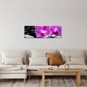 Obraz - Orchidey (s hodinami) (90x30 cm)