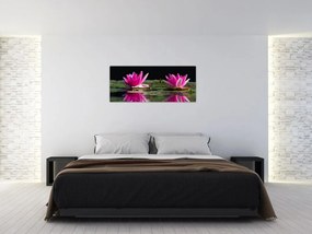 Obraz lekien na vode (120x50 cm)