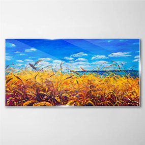 Skleneny obraz Lúka pšeničná obloha