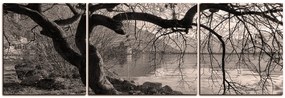 Obraz na plátne - Jeseň pri jazere - panoráma 5198QC (150x50 cm)