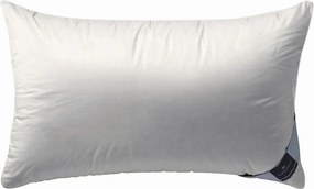 XXXLutz VANKÚŠ POD HLAVU, 40/80 cm Billerbeck - Prikrývky & vankúše - 003279023202