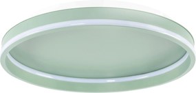 Toolight Toolight, LED stropné svietidlo 40cm, 4000 lm, 22W, 4000K, APP1463, zelená, OSW-08641