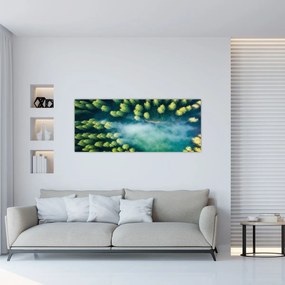 Obraz - Hmlou zahalený les (120x50 cm)