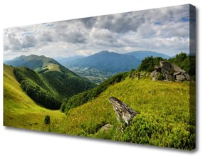 Obraz na plátne Hora lúka krajina 140x70 cm