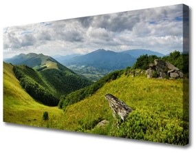 Obraz na plátne Hora lúka krajina 120x60 cm