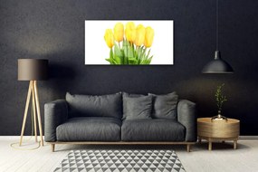 Skleneny obraz Tulipány kvety rastlina 120x60 cm