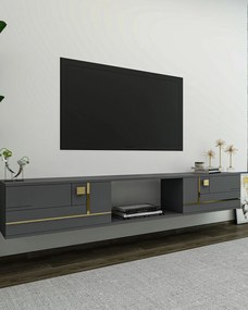 TV stolík/skrinka Arenden (antracit + zlatá). Akcia -17%. Vlastná spoľahlivá doprava až k Vám domov. 1127733