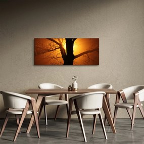 Obraz stromu pri západe slnka (120x50 cm)