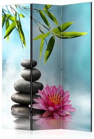 Paraván - Water Lily and Zen Stones [Room Dividers] Veľkosť: 135x172, Verzia: Akustický