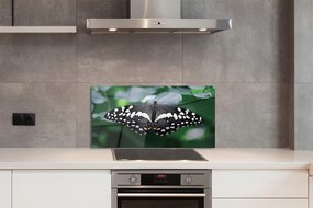 Nástenný panel  Farebný motýľ lístia 100x50 cm