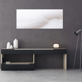 Obraz - Biele pierko (120x50 cm)