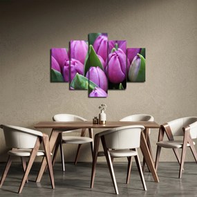 Obraz - kvety tulipánov (150x105 cm)